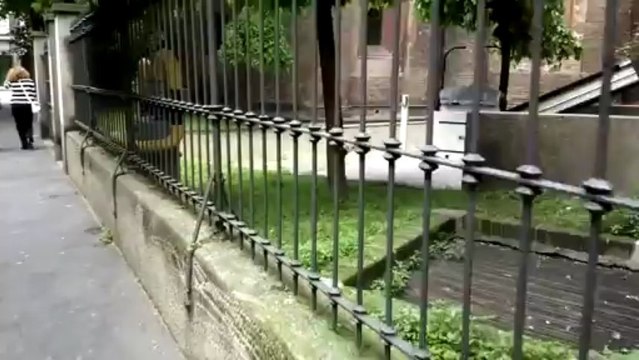 Videotest 720p Nokia 808 PureView (per confronto di giorno con HTC One)