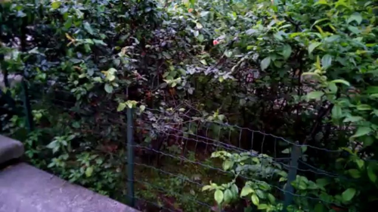 Videotest 1080p HTC One (per confronto all'alba con Nokia Lumia 820)