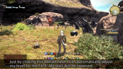 Final Fantasy XIV -  Developers: Commentary "Full Active Time Event"