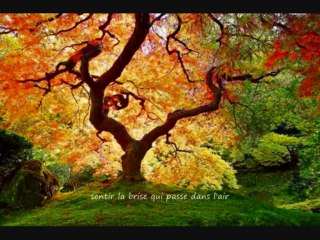 la beauté d'la terre  zone libre Guy Roger