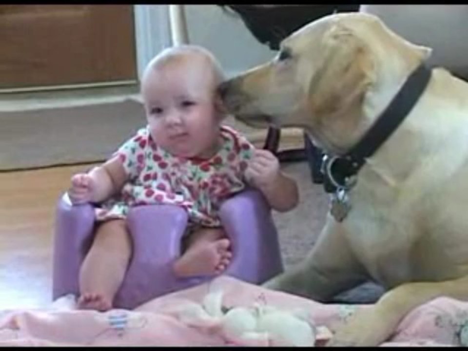 Bebes1