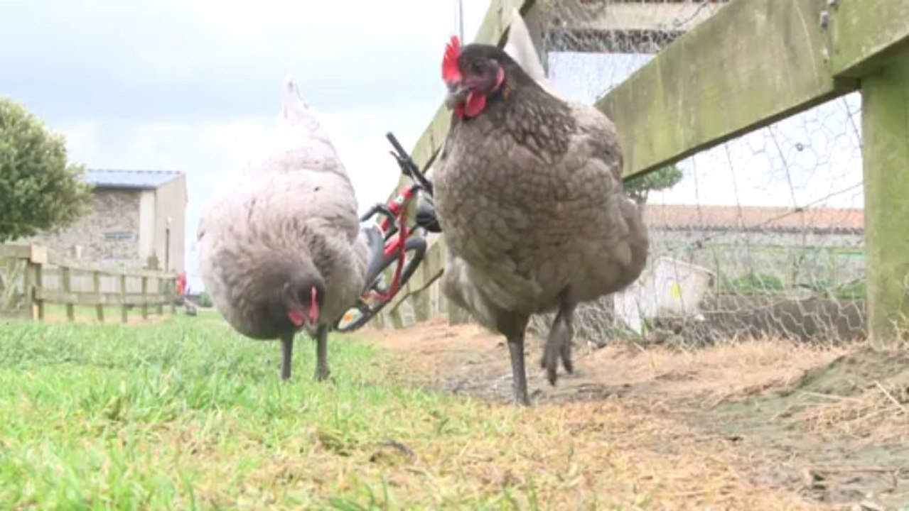 Pornic : un éco-label européen pour la ferme auberge de la Fontaine aux Bretons