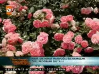 NHTOGL 14 HZR