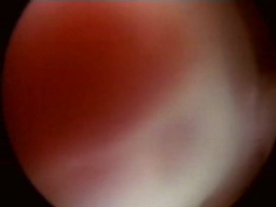 TU ES UN MIRACLE DIVIN