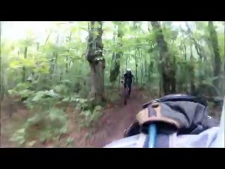 Entre Nuces & Balsac