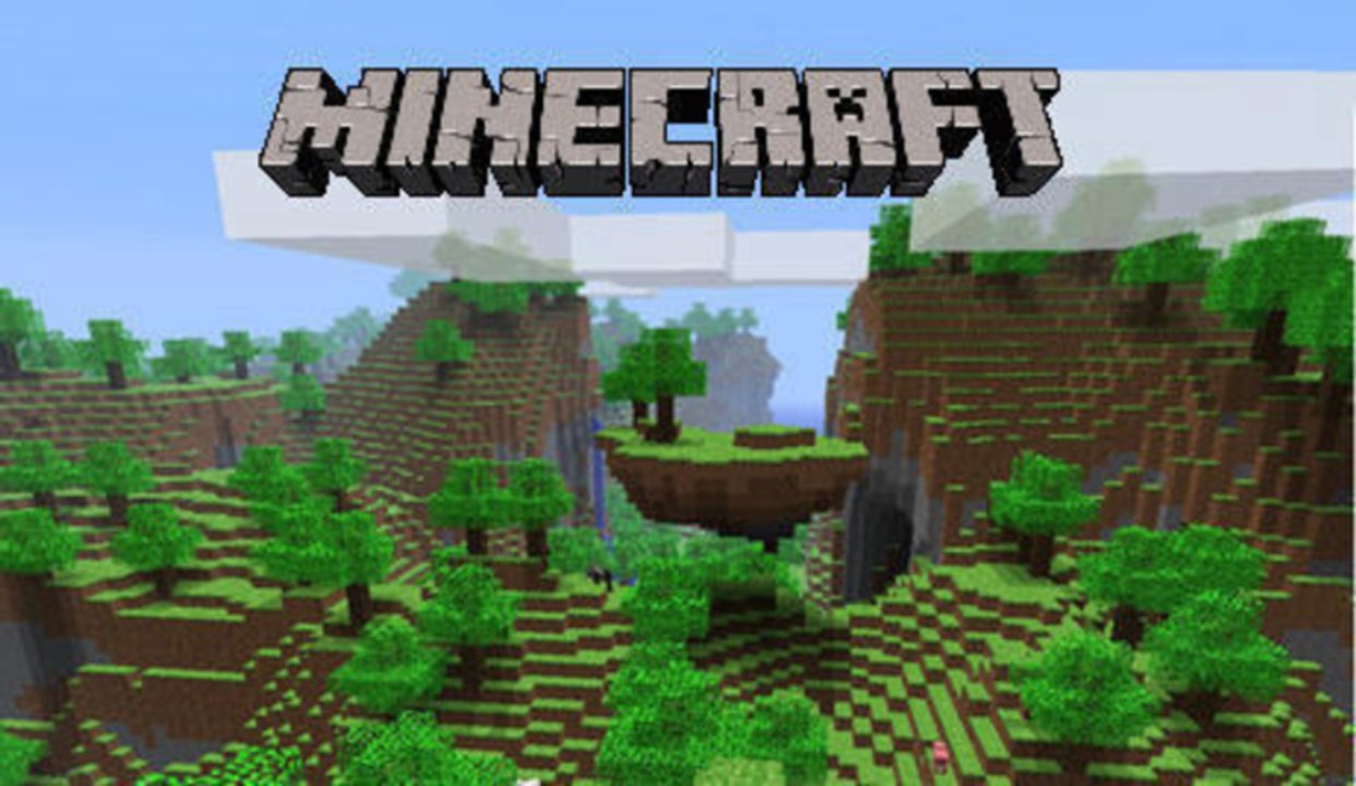 S-Test 1 : Minecraft