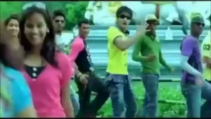 panja the tiger scene 1