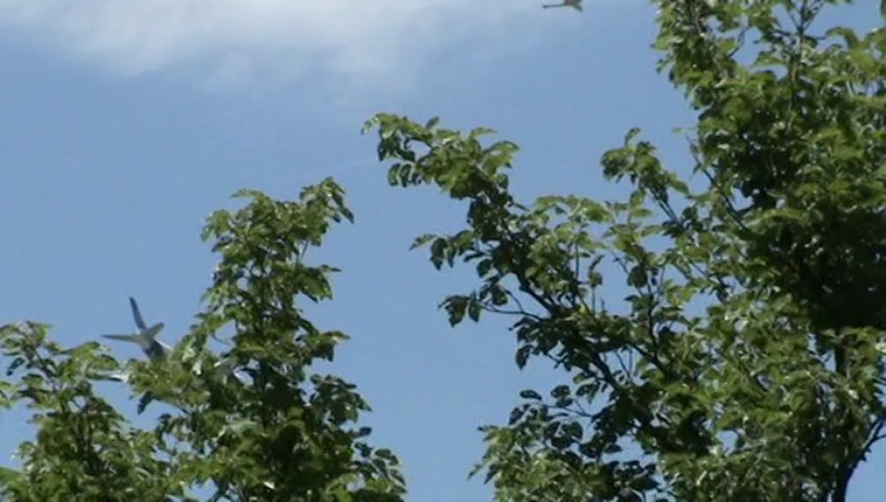 A350, premier vol, premier atterissage