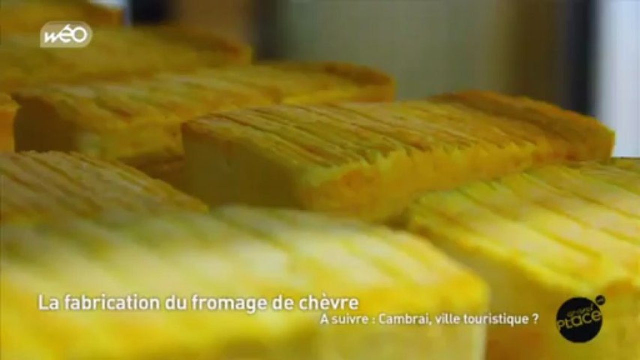 Découverte de la fabrication du fromage de chèvre