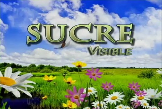 SUCRE VISIBLE MAYO 29 DE 2013