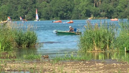 Chronique d'une zone humide oubliée : le lac d'Aydat