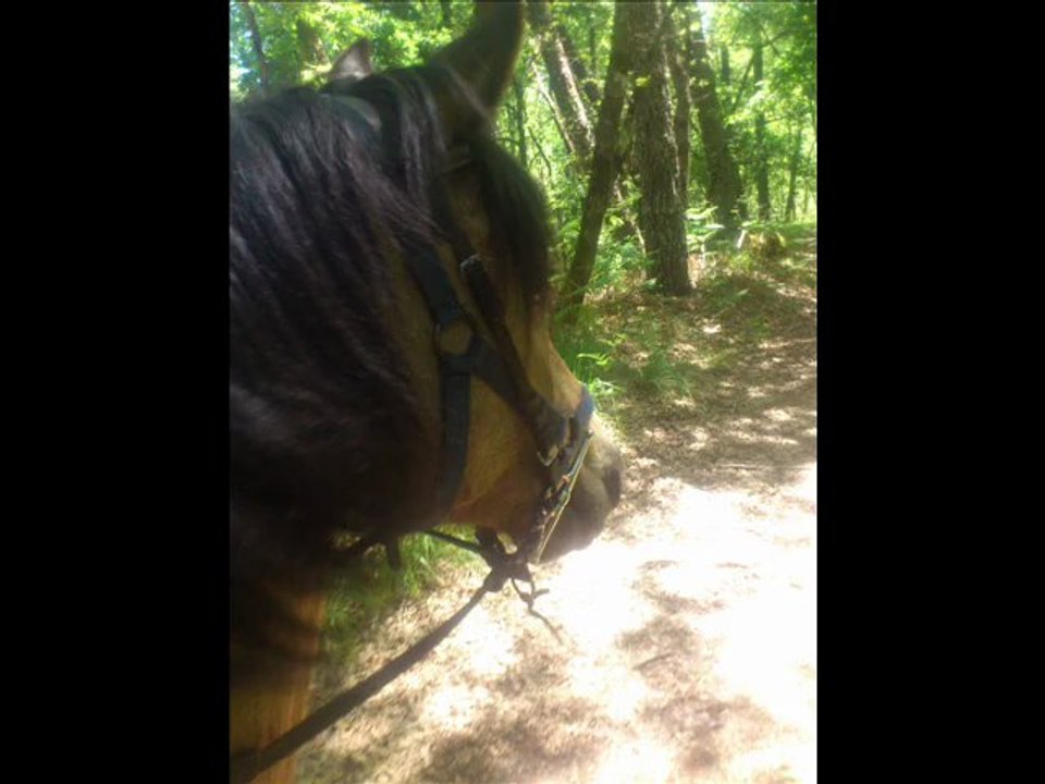 5 Juin 2013 14h30 balade