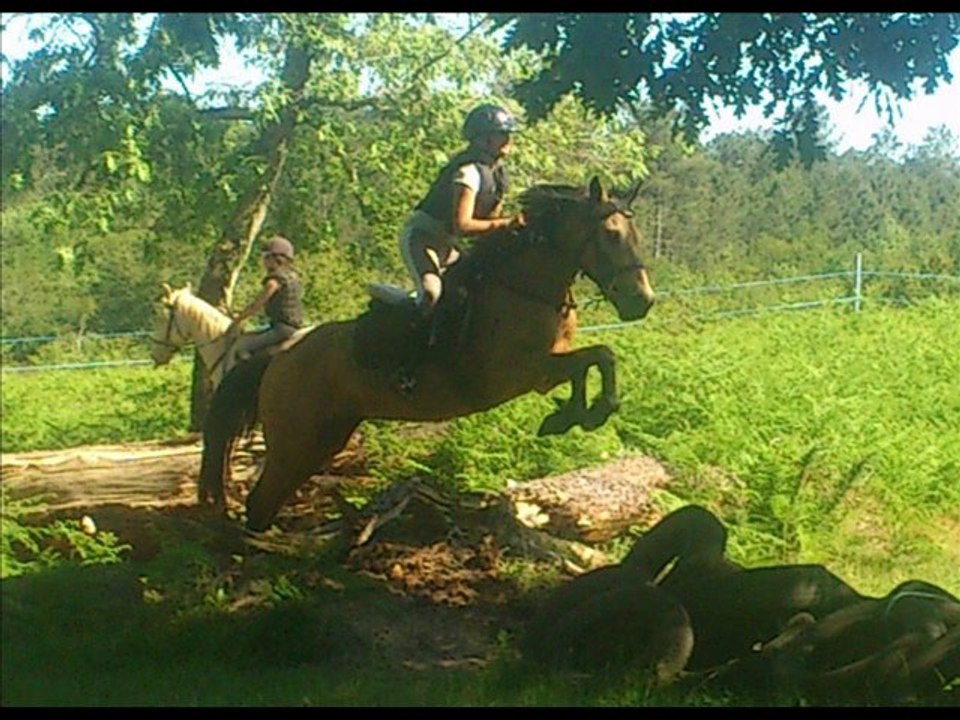 12 Juin 2013 mercredi apm 16h CCE