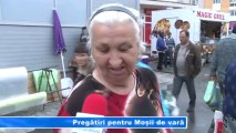PREGATIRI PENTRU MOSII DE VARA