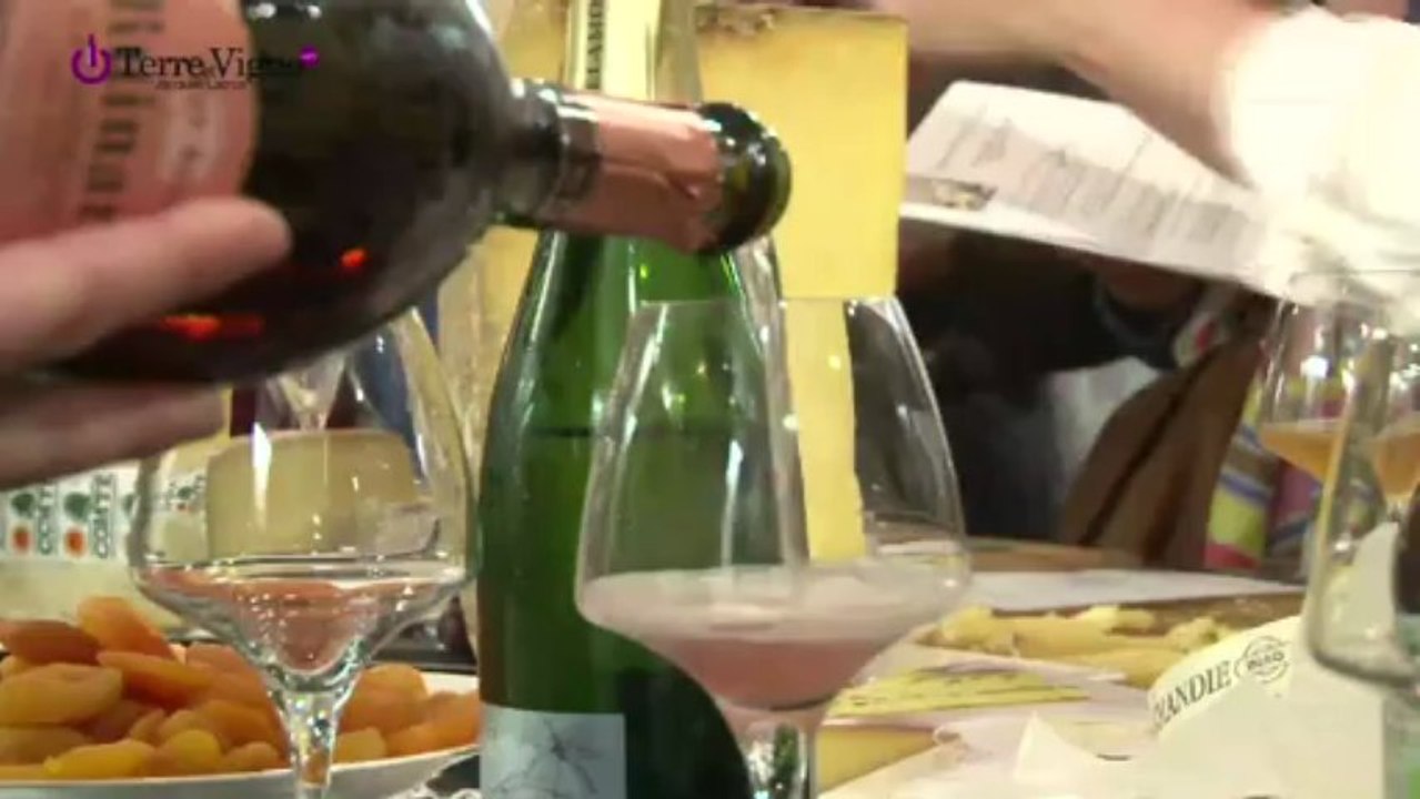 Dégustation Fromages et Boissons : découverte, dégustation et initiation