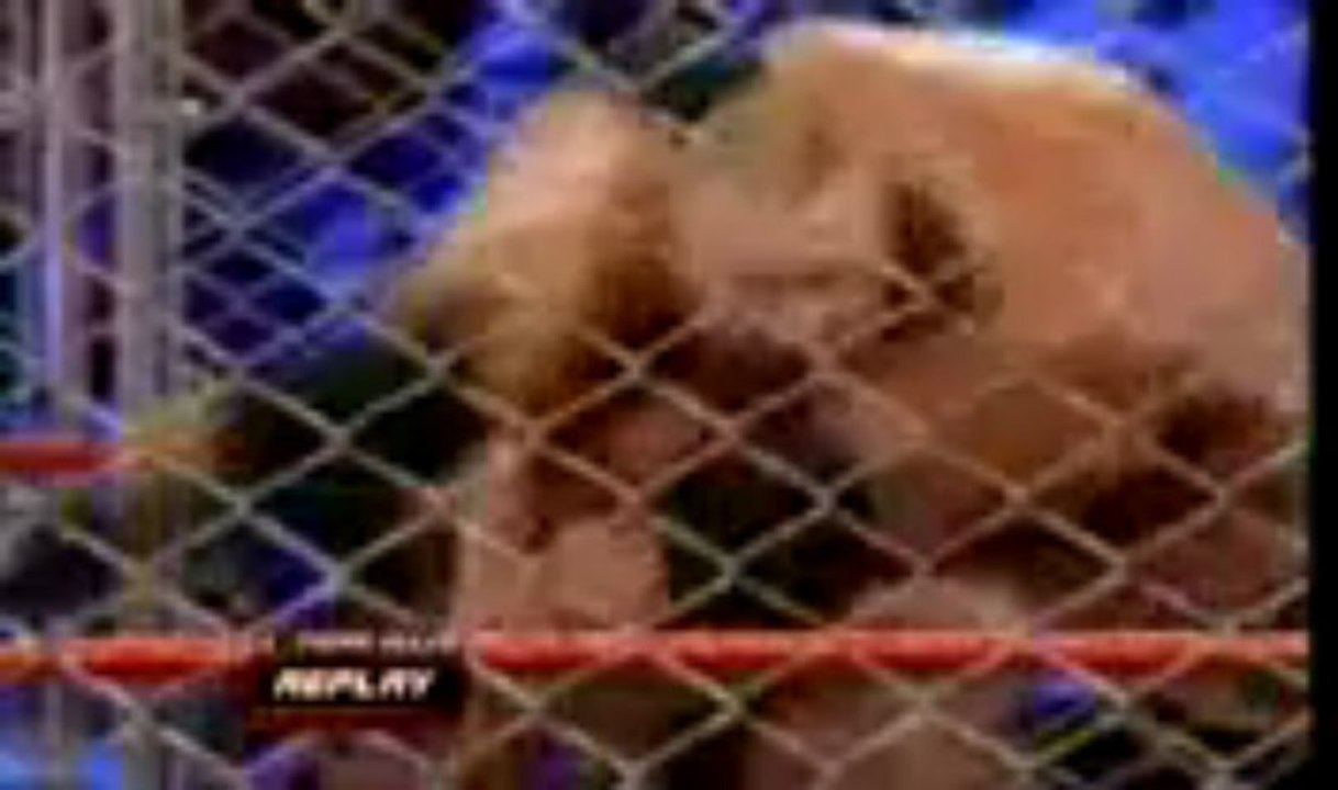 WWE Extreme Rules 2013 Triple H Vs Brock Lesnar in cage