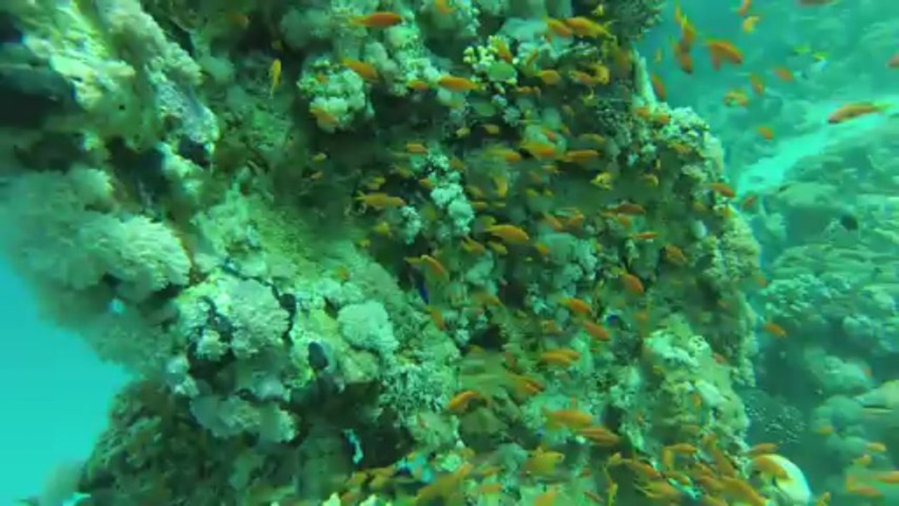 GOPR0037