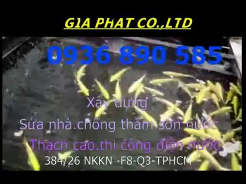 Giá Sửa Chữa Ống Nước tại Quận 9,2 => Viber 0936 890 585