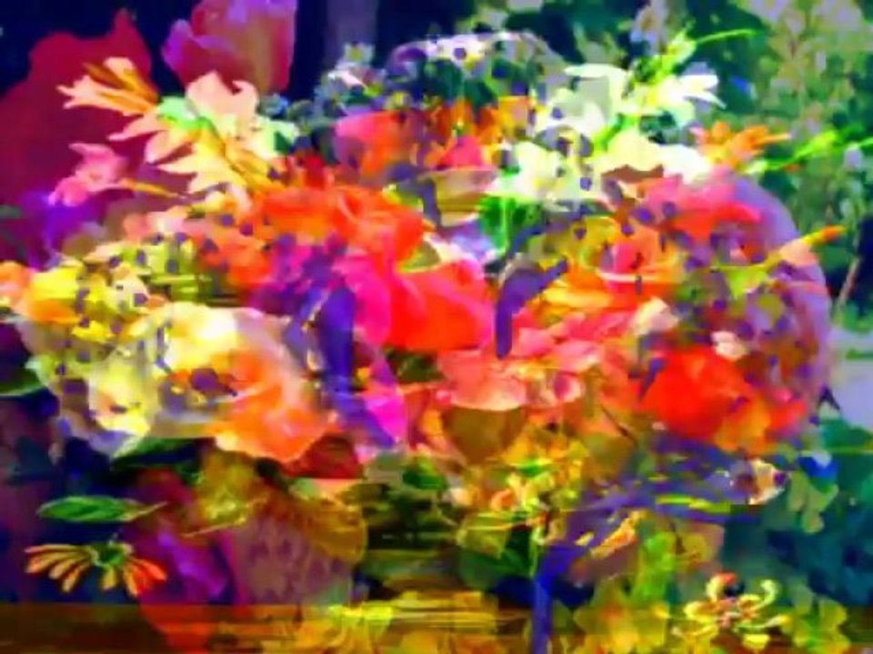 Canciones, Musica,Poesia y belleza