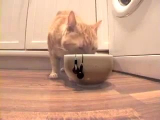 Comment démêler des écouteurs en utilisant un chat