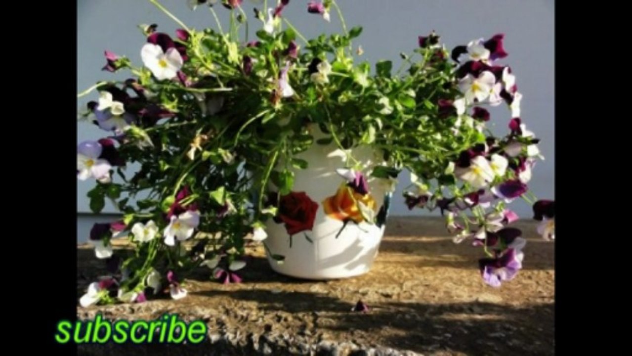 Flower pots. Unique, printed, full color decorated, outdoor.