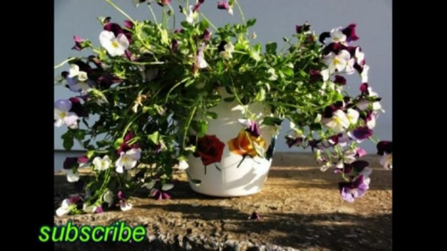 Flower pots. Unique, printed, full color decorated, outdoor.