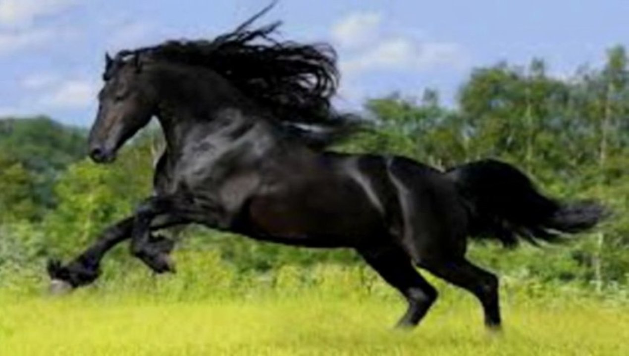 Niko zostań / cover / by Marzena