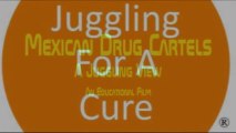Mexican Drug Cartels: A Juggling View