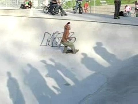 Skate frank et remi-jay from lyon 092