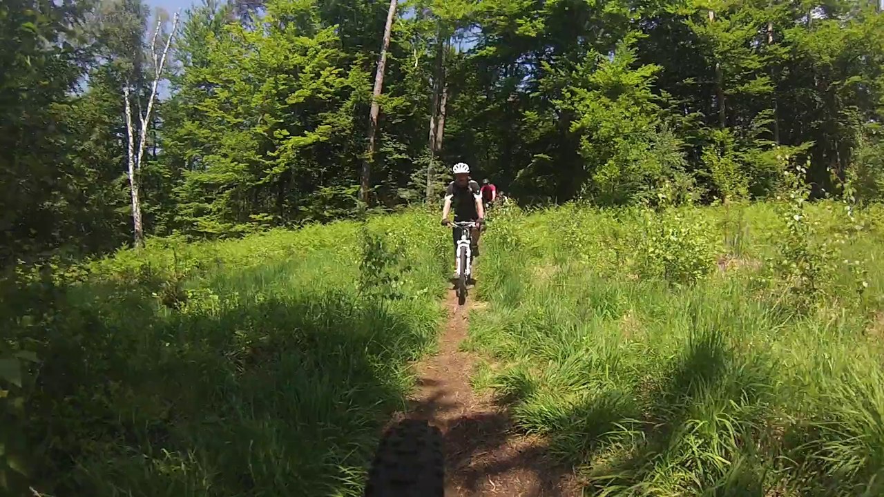 20130608 sachsenwald