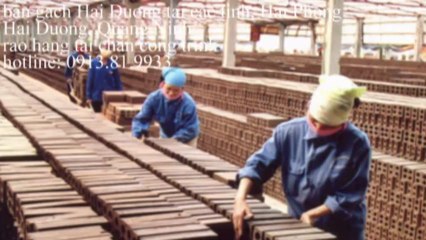 gạch đặc hải dương tại hải phòng
