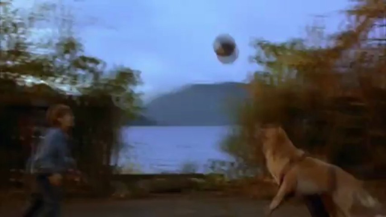 Air Bud (1997) HD