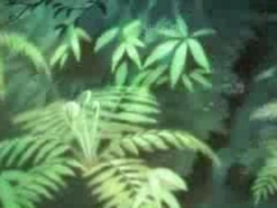 [www.AMVdeFans.com]Toff_Promo2006