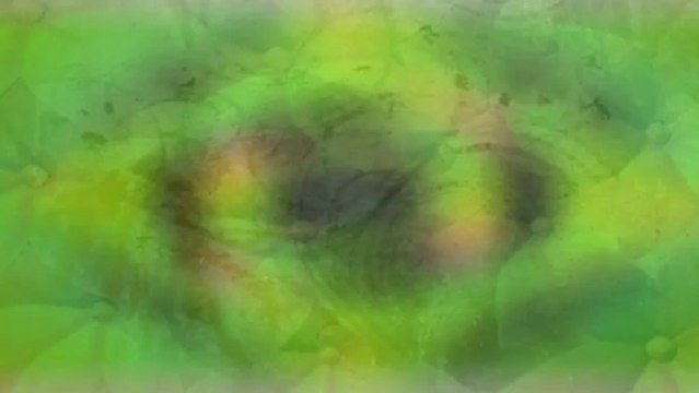 Tara Brach - Guided Mindfulness Meditation 8