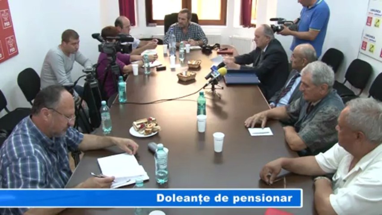 DOLEANTE DE PENSIONAR