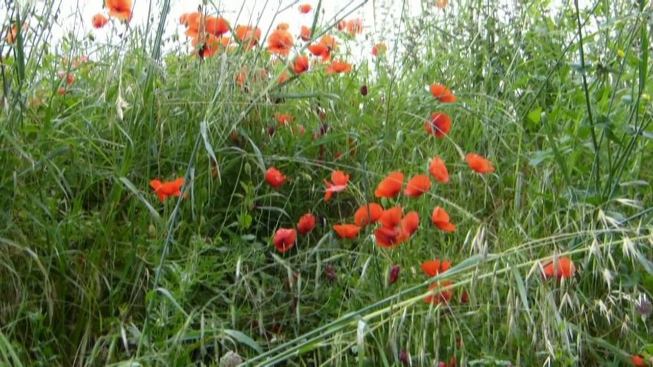 Touches ... de rouge