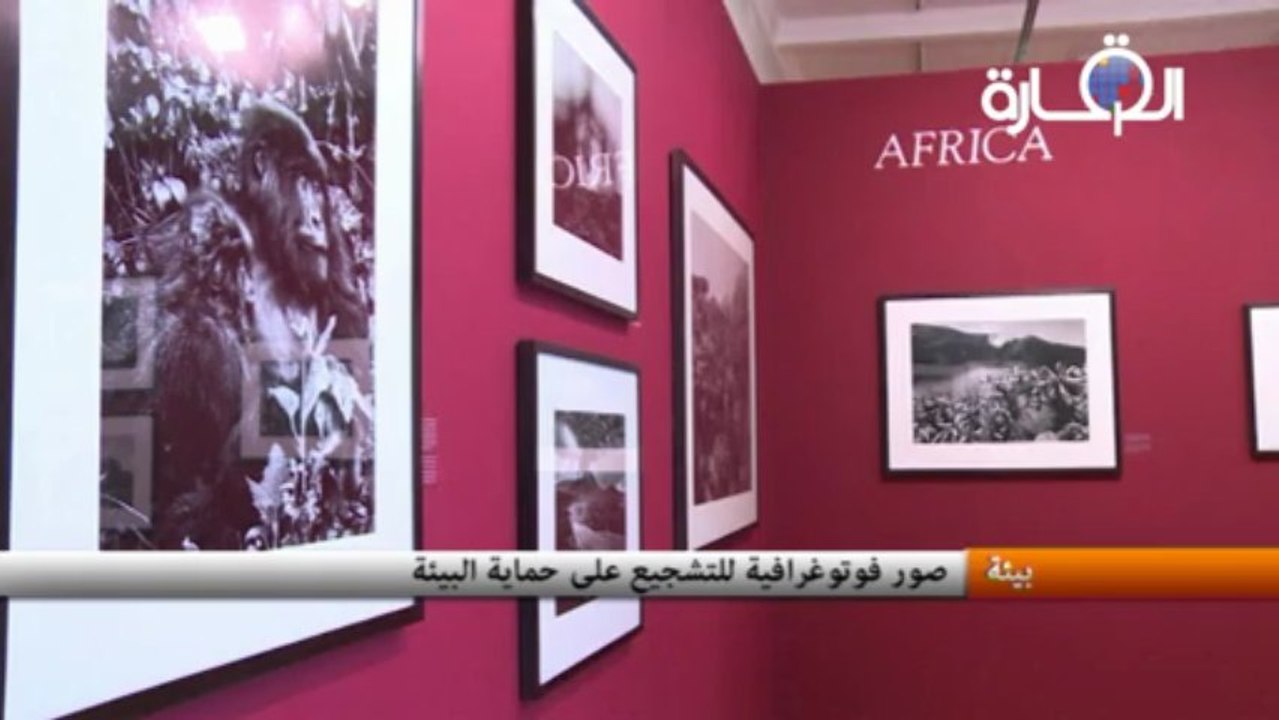 صور فوتوغرافية للتشجيع على حماية البيئة