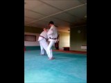 Nihon Tai-Jitsu: défense contre mawashi geri