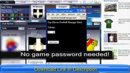FREE IN GAME FOOTBALL MANAGER 2013 EDITOR
