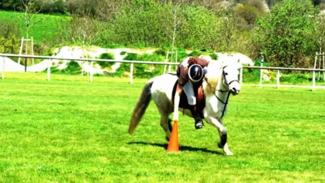 poneys sous les pommiers 2013