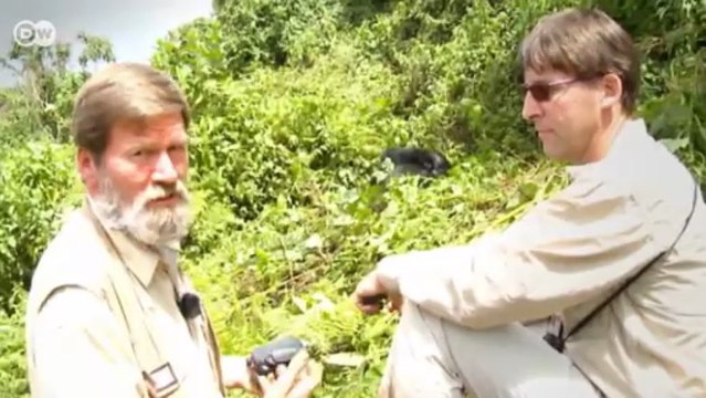 World Stories: International Reporters | World Stories