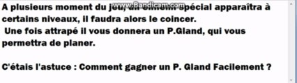 NSMBU | Comment gagner un P. Gland facilement ?