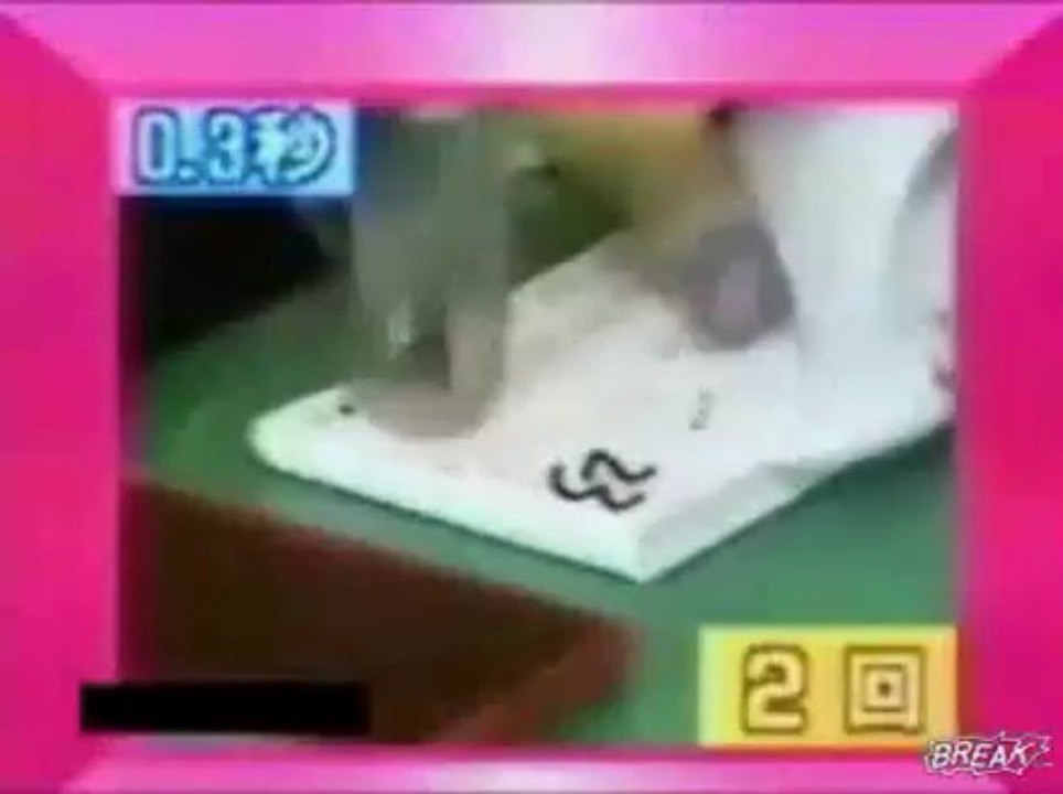 World fastest secretary
