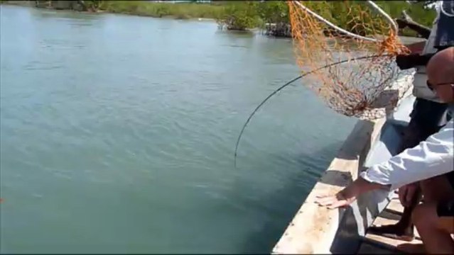 PECHE EXOTIQUE Villa des Pêcheurs 2013