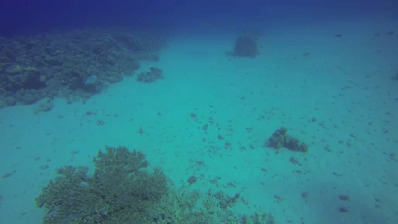 GOPR0095