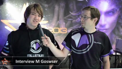 DH Summer 2013 : Interview Goswser