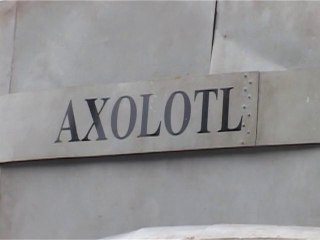 2013 Juin - Un sous-marin sur les Quais (June 2013 - A submarine on the Quays)
