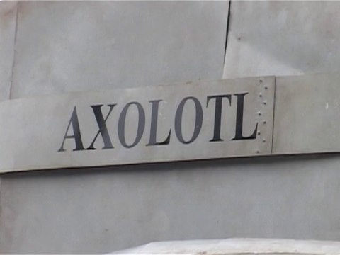 2013 Juin - Un sous-marin sur les Quais (June 2013 - A submarine on the Quays)