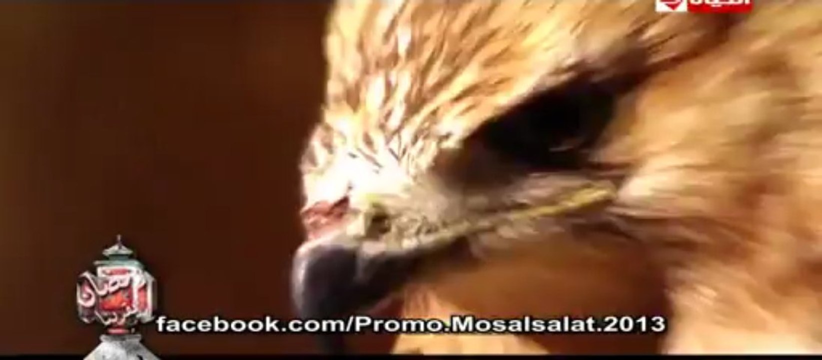 الاعلان الثالث لمسلسل "الصقر شاهين"على الحياة ...