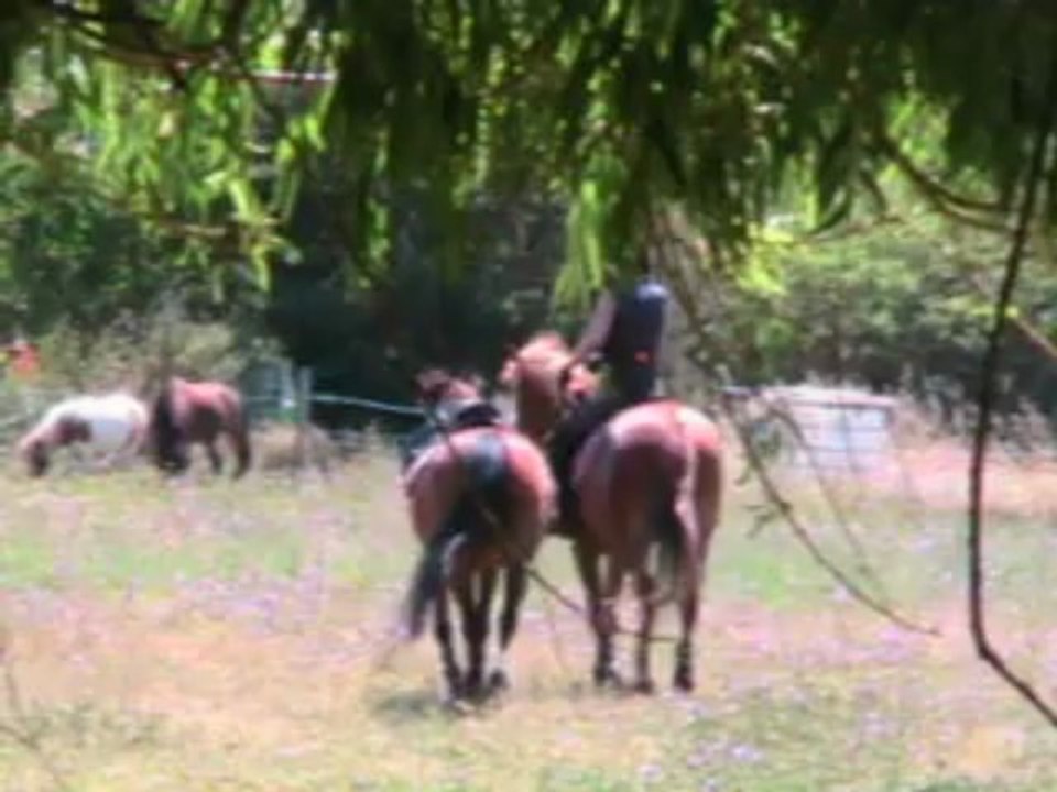 préparation UC 9 travail en destre Zoe, yvan et Lizelodie